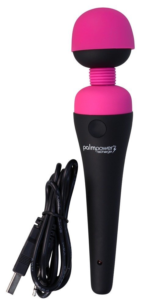 palmpower recharge